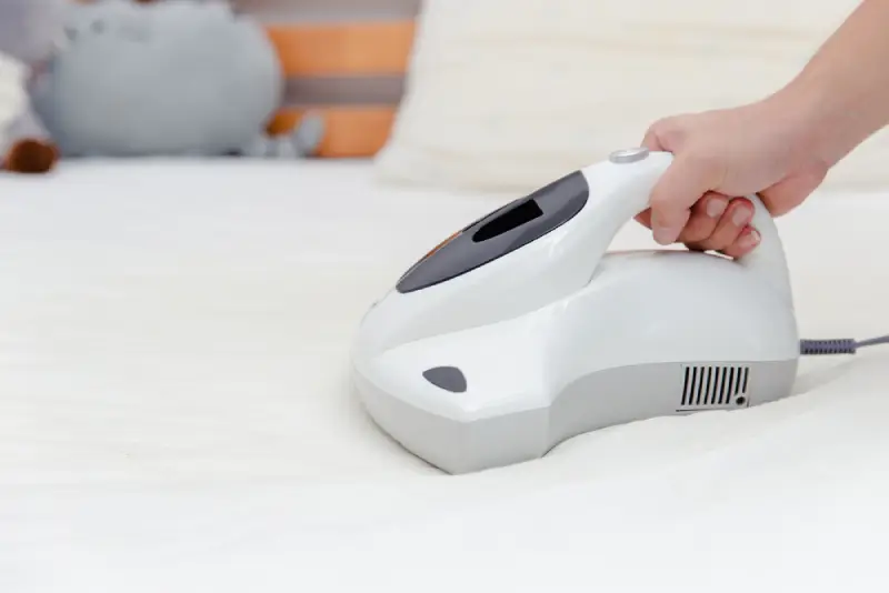person cleaning up dust mites.